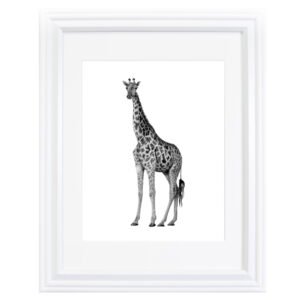 This giraffe art print was created by Okanagan-based artist Jennifer Delaney. It was created with pen and marker.