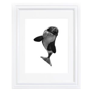 This orca art print was created by Okanagan-based artist Jennifer Delaney. It was created with pen and marker.