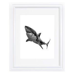 This shark art print was created by Okanagan-based artist Jennifer Delaney. It was created with pen and marker.