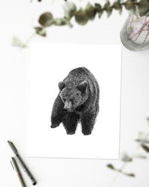 Bear - Art Print - Image 2