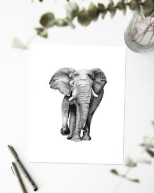 Elephant - Art Print - Image 2