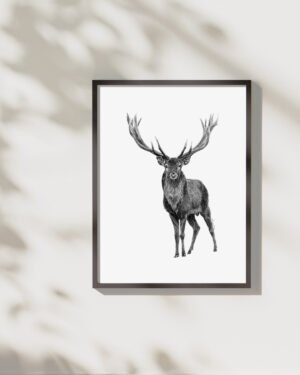 Elk - Art Print - Image 3