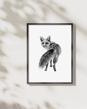 Fox - Art Print - Image 3