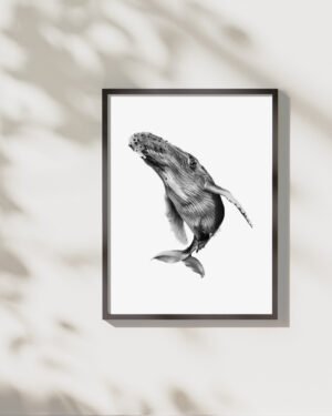 Humpback - Art Print - Image 3