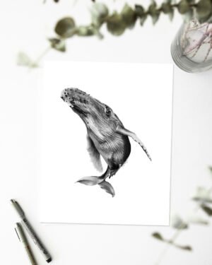 Humpback - Art Print - Image 2