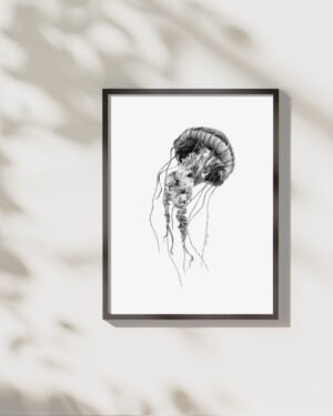 Jellyfish - Art Print - Image 3