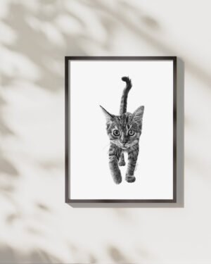 Kitten - Art Print - Image 3