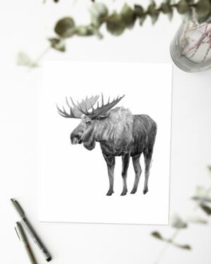 Moose - Art Print - Image 2