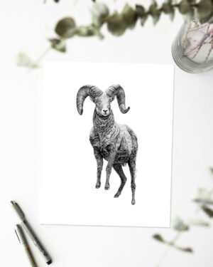 Ram - Art Print - Image 2