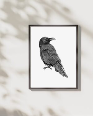 Raven - Art Print - Image 3