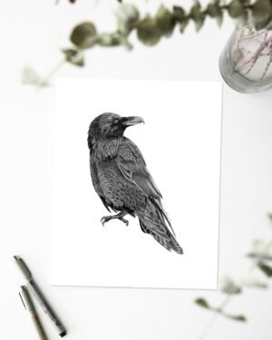 Raven - Art Print - Image 2