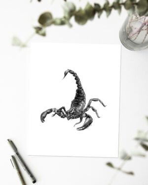 Scorpion - Art Print - Image 2