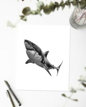 Shark - Art Print - Image 2