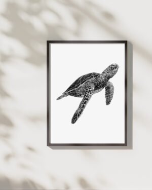 Turtle - Art Print - Image 3