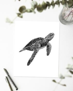 Turtle - Art Print - Image 2