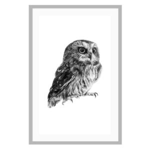 This owl poster was created by Canadian artist Jennifer Delaney. She is based in Kelowna, BC. The black and white minimalist style is sure to look great in any home, and any room!