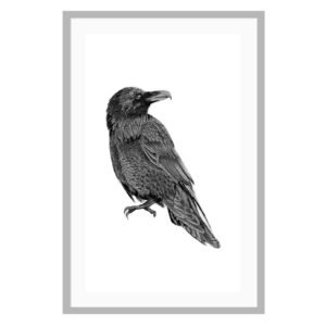 This raven poster was created by Canadian artist Jennifer Delaney. She is based in Kelowna, BC. The black and white minimalist style is sure to look great in any home, and any room!