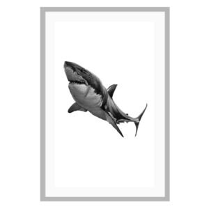 This shark poster was created by Canadian artist Jennifer Delaney. She is based in Kelowna, BC. The black and white minimalist style is sure to look great in any home, and any room!