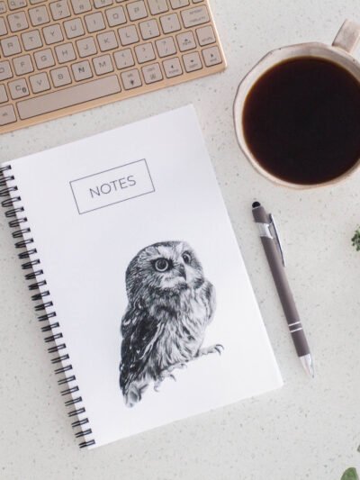 Owl notebook made by Canadian artist Jennifer Delaney. Kelowna, BC based. Handmade.