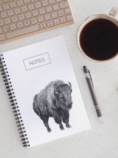 Bison notebook made by Canadian artist Jennifer Delaney. Kelowna, BC based. Handmade.