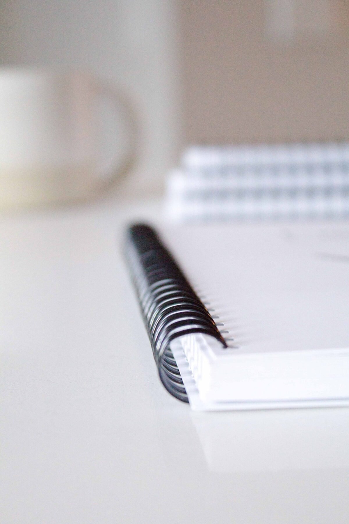 Humpback Notebook - Softcover - Image 5