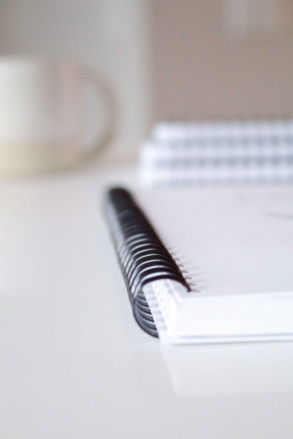 Scorpion Notebook - Softcover - Image 7