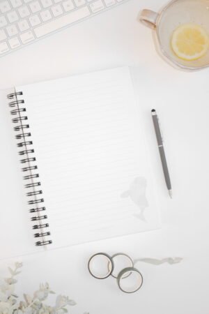 Orca Notebook - Image 2