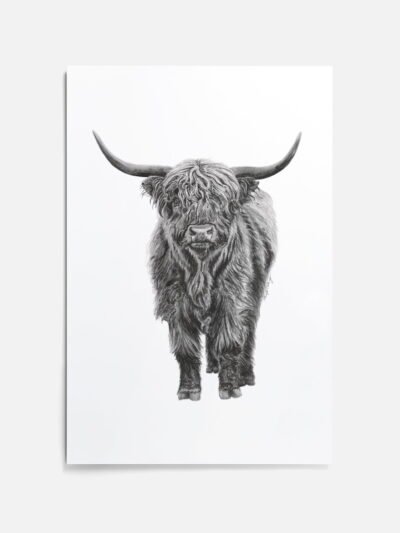 Minimalistic Metal Prints - Highland Cow