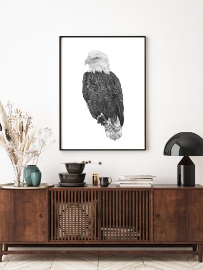 Eagle Poster print by Canadian artist Jennifer Delaney. She is a self-taught artist based in Kelowna, BC. She specializes in pen and marker sketches.