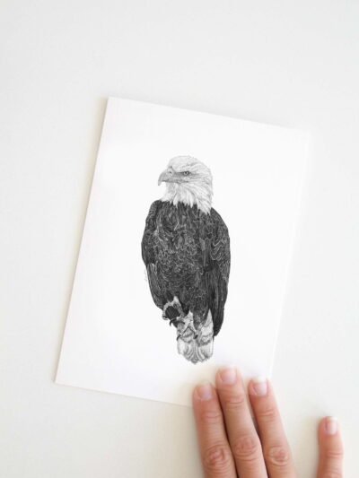 Eagle greeting card by Canadian artist Jennifer Delaney. She is a self-taught artist based in Kelowna, BC. She specializes in pen and marker sketches.