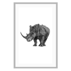 Rhino Poster