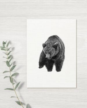 Bear - Greeting Card