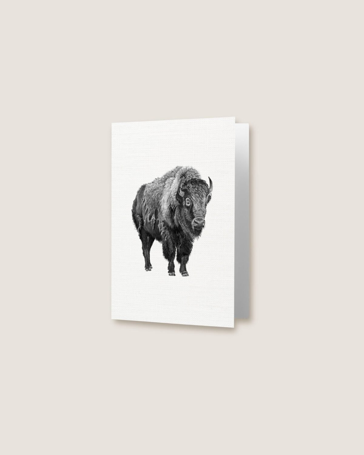 Bison - Greeting Card - Image 3