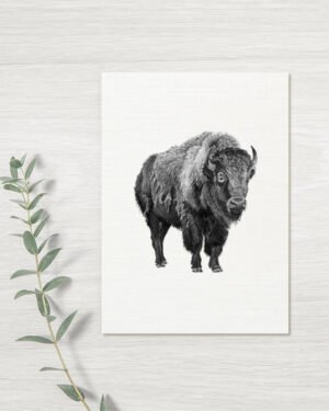 Bison - Greeting Card