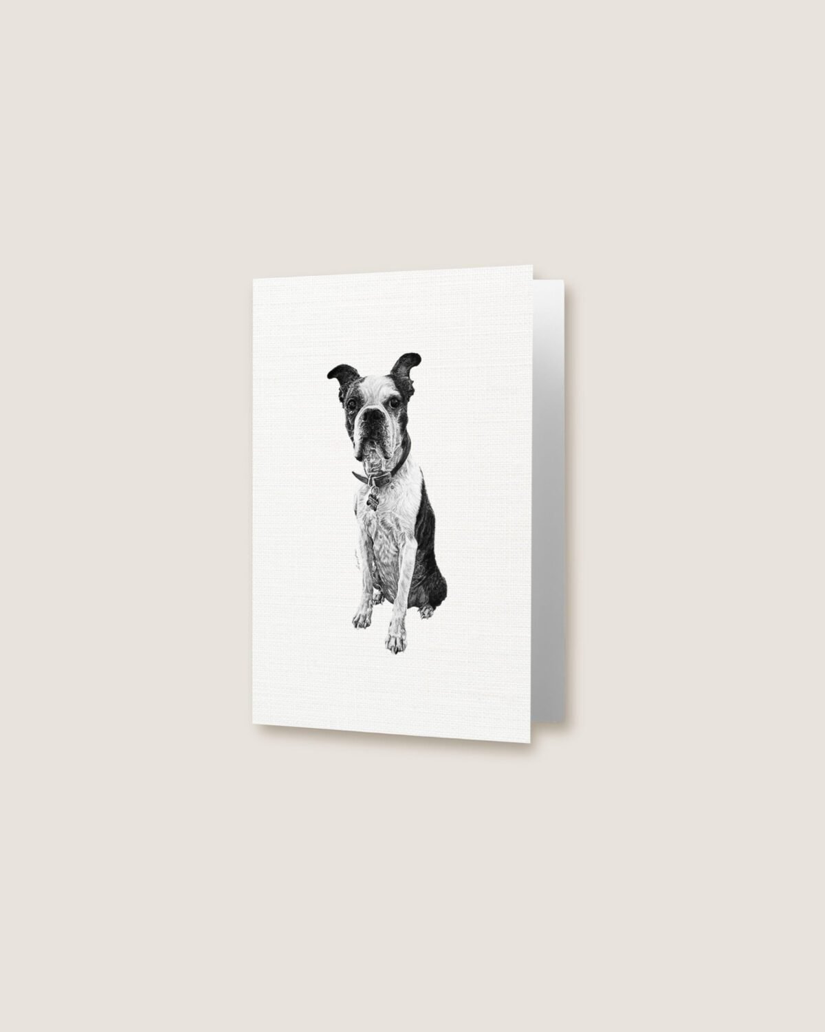 Boston Terrier - Greeting Card - Image 3