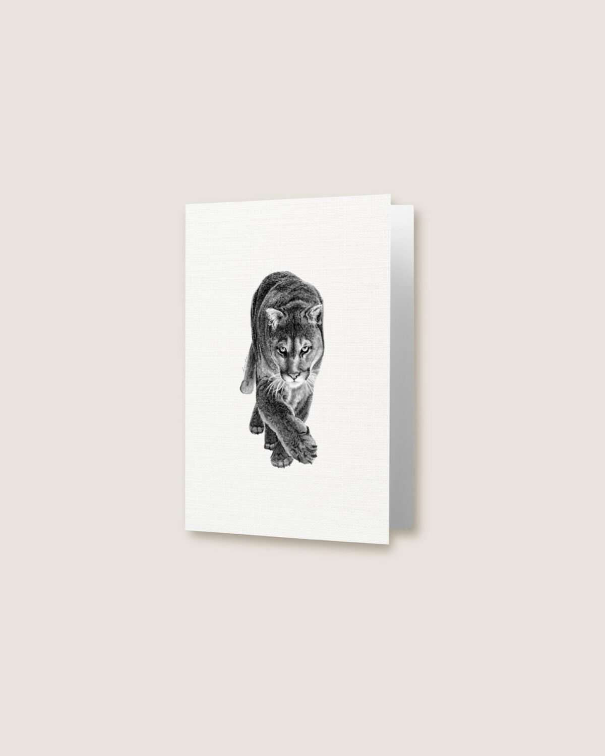 Cougar- Greeting Card - Image 3