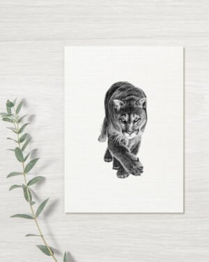 Cougar- Greeting Card