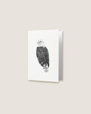 Eagle - Greeting Card - Image 2