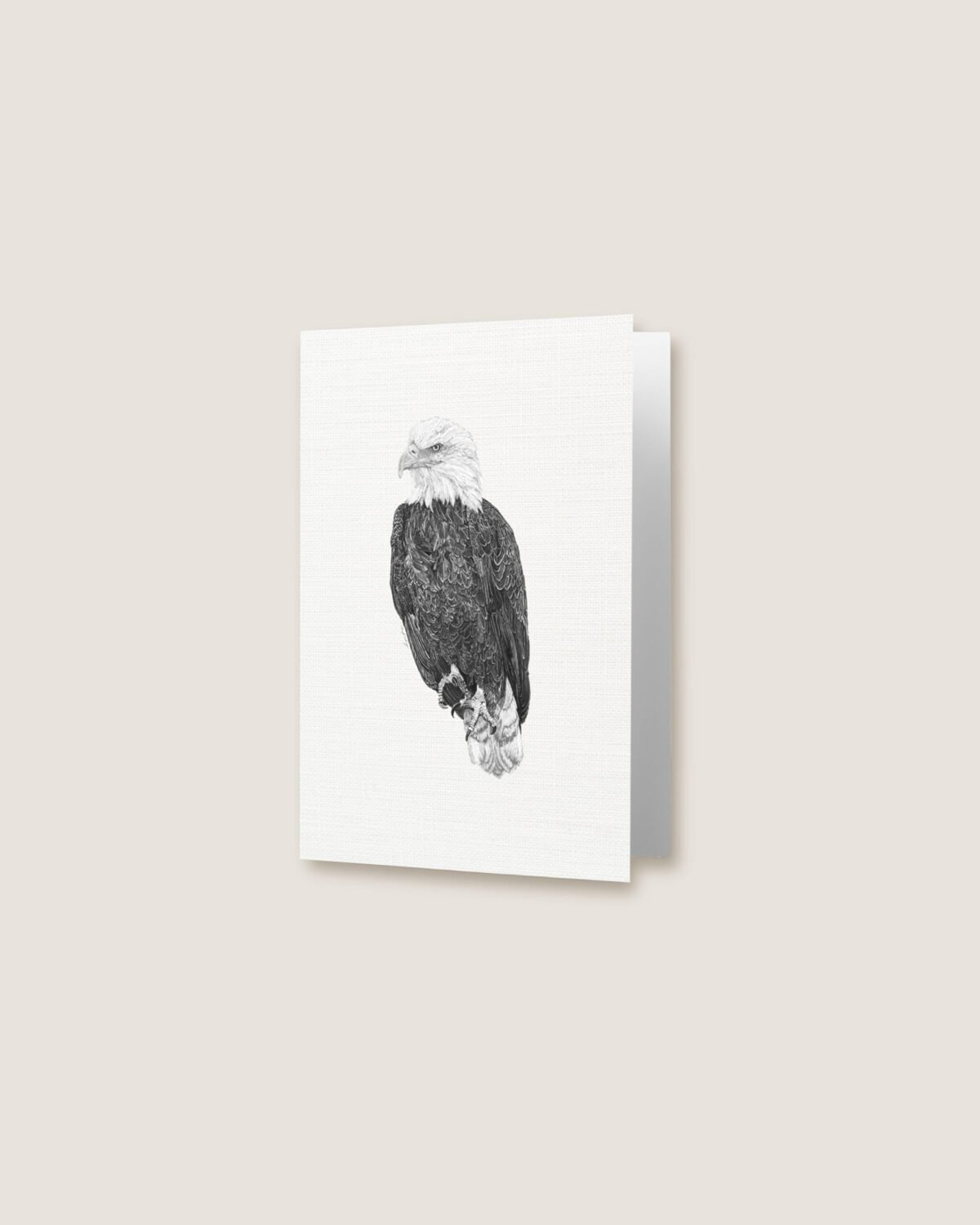 Eagle - Greeting Card - Image 3