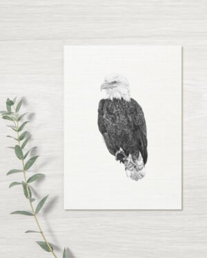 Eagle - Greeting Card