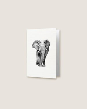 Elephant - Greeting Card - Image 2