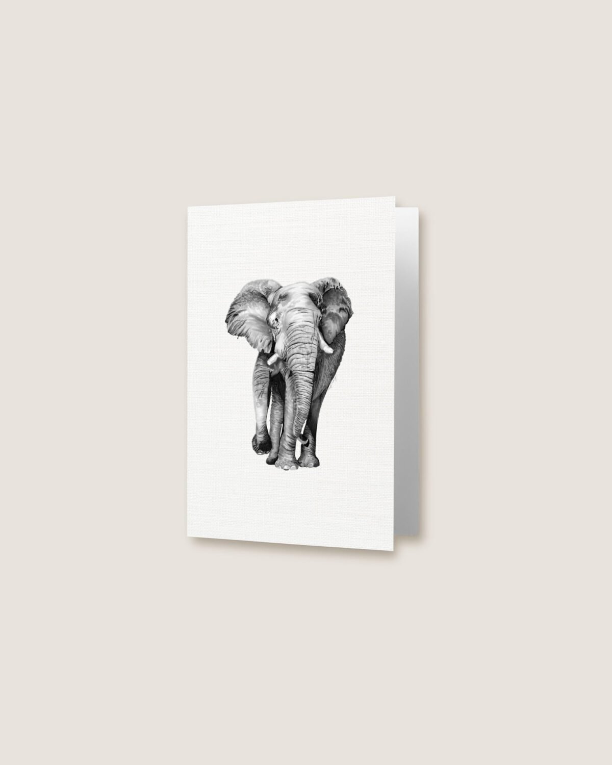 Elephant - Greeting Card - Image 3