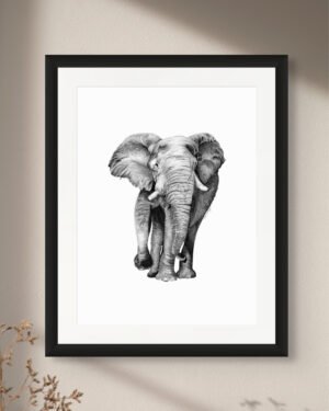 Elephant - Art Print