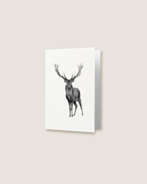 Elk - Greeting Card - Image 2