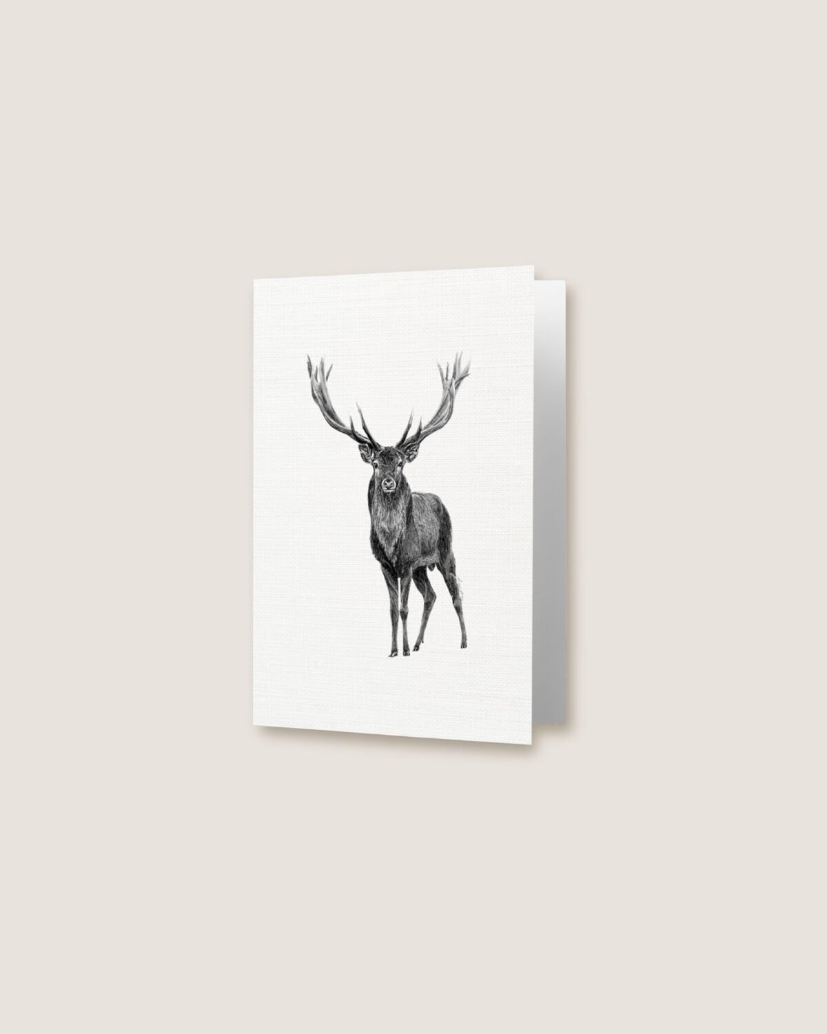Elk - Greeting Card - Image 3