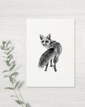 Fox - Greeting Card