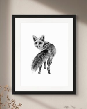 Fox - Art Print