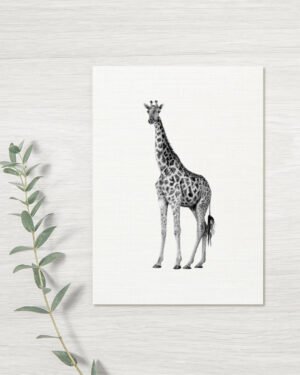 Giraffe - Greeting Card