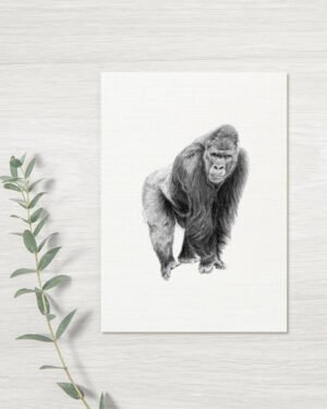 Gorilla - Greeting Card