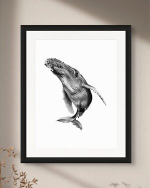 Humpback - Art Print